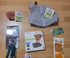 Dog accessories