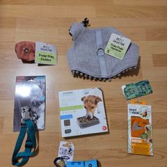 Dog accessories