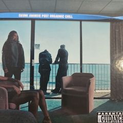 Skunk Anansie - Post Orgasmic Chill.