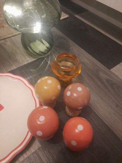 mushroom collection