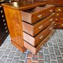 Chest Image 5