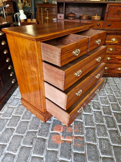Chest