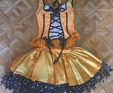 Fancy dress/ Cosplay/ Halloween huge selection 250+
