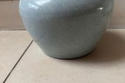 plant pot