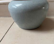 plant pot