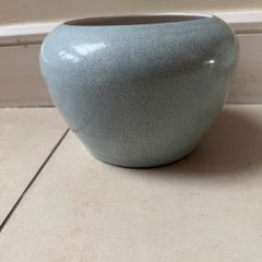 plant pot