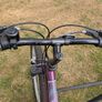 Apollo Jewel - Girls Mountain Bike Image 5