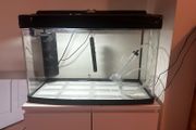 120L fish tank
