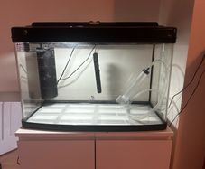 120L fish tank