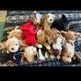110 Vintage ty Beanie Babies Image 7