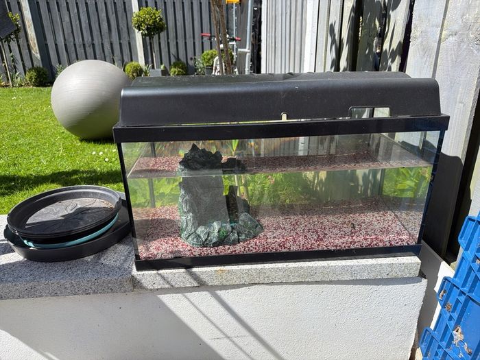 Fish Tank