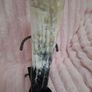 Viking Drinking Horn Image 7