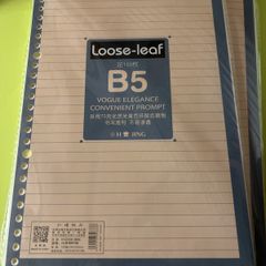 2x B5 (100 pages each)