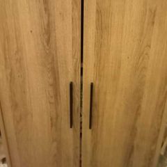 Modern Light Oak 2-Door Storage Cabinet Cupboard