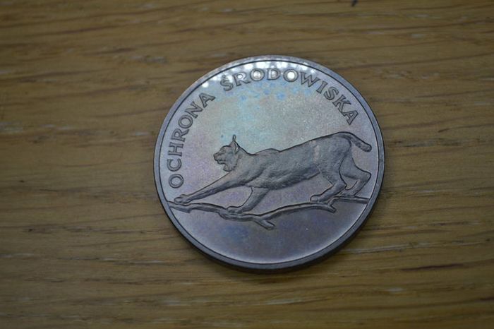 Asking price from 95 euro. Poland 100 zloty  Silver coin Environmental protection 1979, 1980,1981,1982
