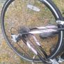 road bike Image 4