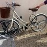 Dawes Duchess Ladies Bicycle Image 3