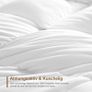 Brand New DWR Duvet Image 2