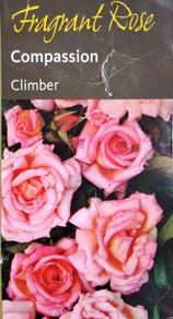 Fragrant Rose Seeds