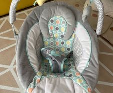 Ingenuity Baby Bouncer