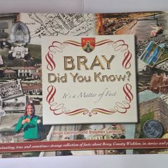 BRAY. Did You Know / 2012