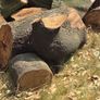 fire wood Image 2