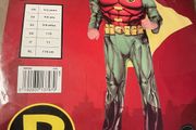 Robin fancy dress costume