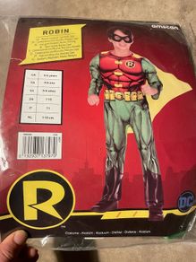 Robin fancy dress costume
