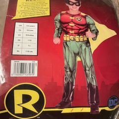 Robin fancy dress costume