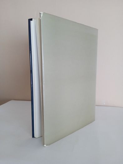 Museum of Fine Arts Boston: Western Art by Adolph S. Cavallo (RB107)