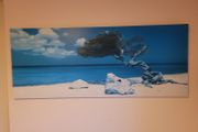 Oil canvas