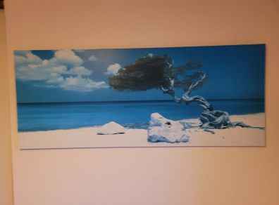Oil canvas