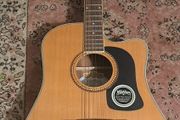 Washburn D10SCE - DL Natural electric semi acoustic