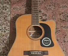 Washburn D10SCE - DL Natural electric semi acoustic