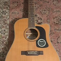 Washburn D10SCE - DL Natural electric semi acoustic