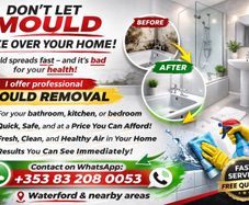 Mould Remover