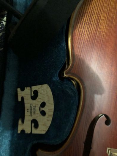 violin 4/4