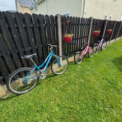 3 bikes for sale