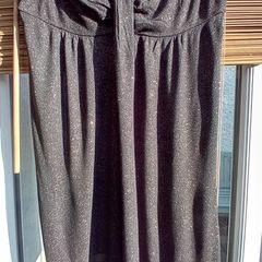 Sparkle Bandeau Dress/Top