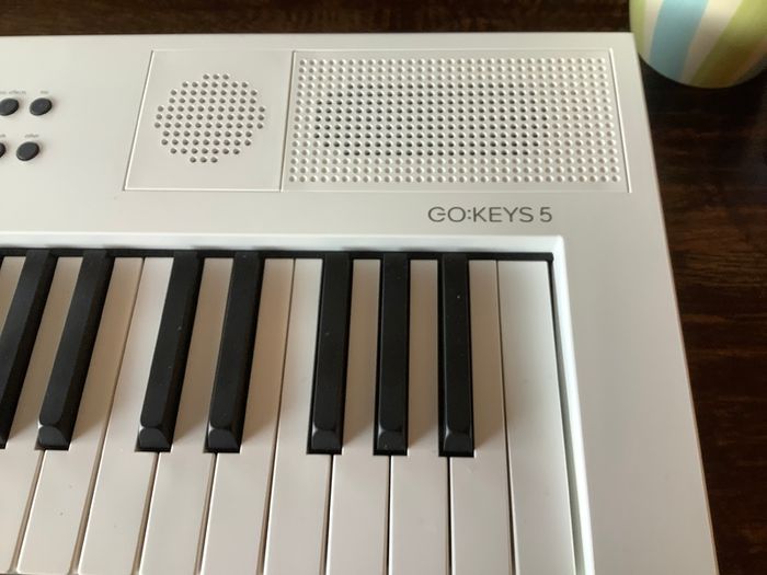 Roland GO:KEYS 5 mint