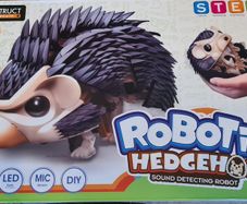 Robotic Hedgehog