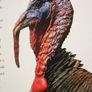 The Hunter's Handbook. Image 3