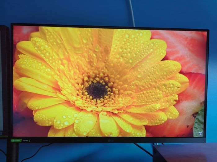 1440p 144hz IPS GSync Gaming Monitor