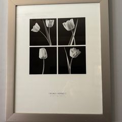 (Move out sell-see my other low priced ads) Framed Black & White Tulip Photography by Thomas Horbett