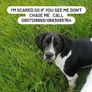 Missing from Dundrum,Tipperary: Cash Reward Image 4