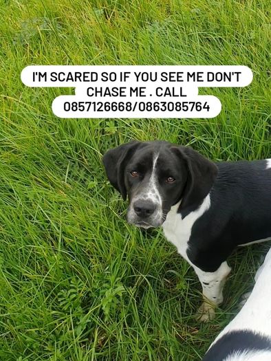 Missing from Dundrum,Tipperary: Cash Reward