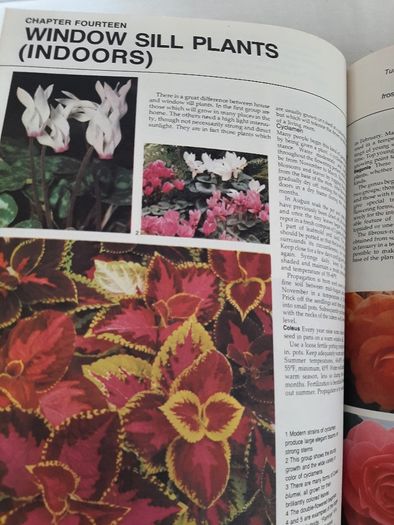 vintage new book flowers for everywhere 1974