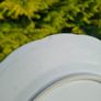 Blue willow style cake stand light chip at the back Image 4