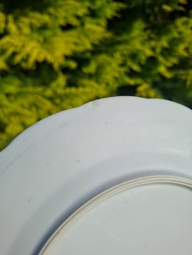 Blue willow style cake stand light chip at the back
