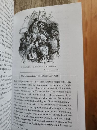 The Irish Famine. An Illustrated History By Helen Litton. First Edition Paperback In Good Condition.